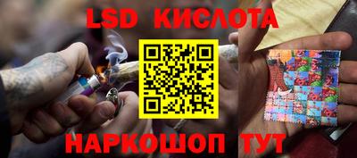 гашик Новозыбков