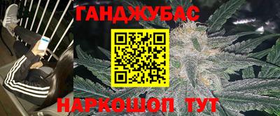 гашик Новозыбков