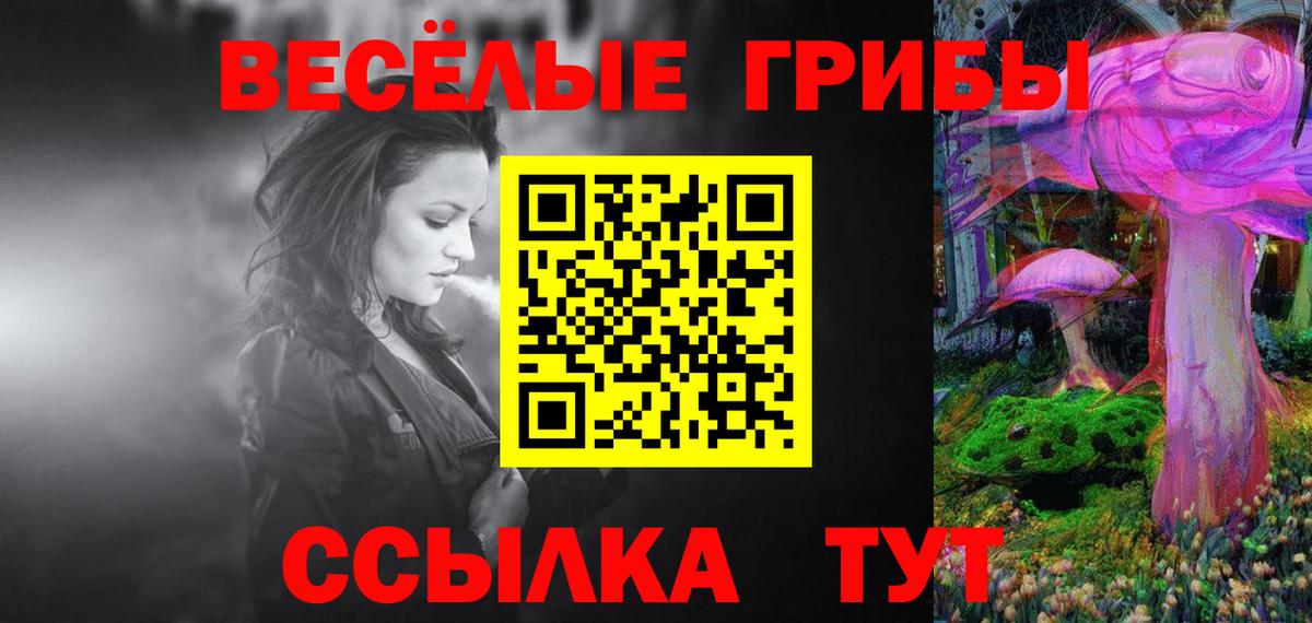 Псилоцибиновые грибы Cubensis Саров