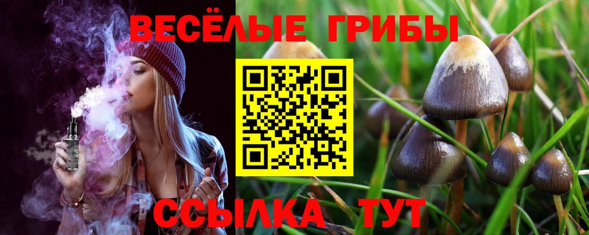 Галлюциногенные грибы Psilocybine cubensis  Вход с VPN  Галлюциногенные грибы Psilocybine cubensis  закладка  Саров 